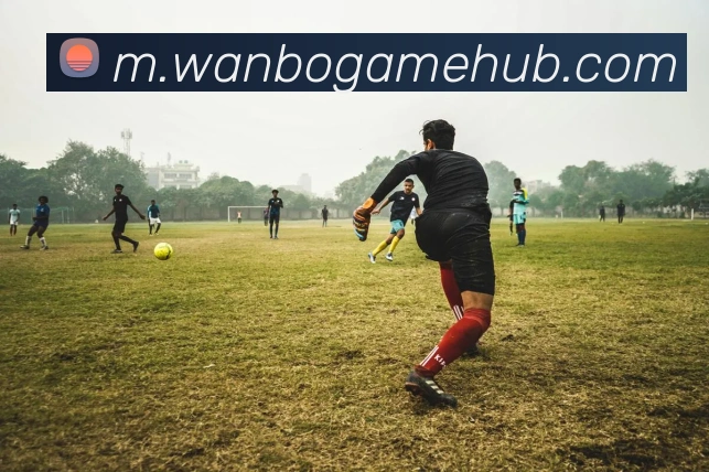 万博体育APP 高清赛事图